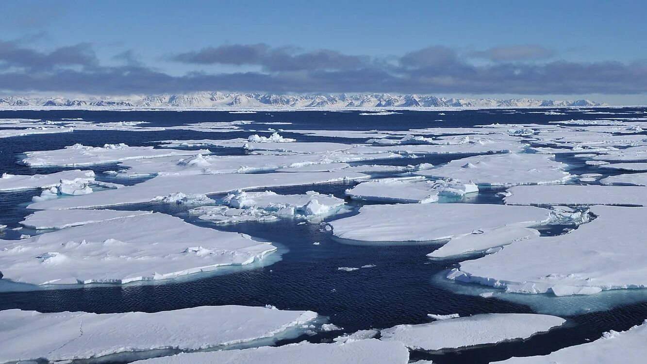 Великая полынья в Арктике. Полынья в Антарктиде. Великая Северная полынья. Полынья на льду. Почему не замерзает баренцево