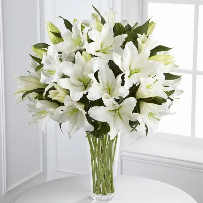 Букет лилий фото красивые. Букет "белые лилии". Лилия Trebbiano. Лилия кустовая белая. Лилия Элегант Краун.