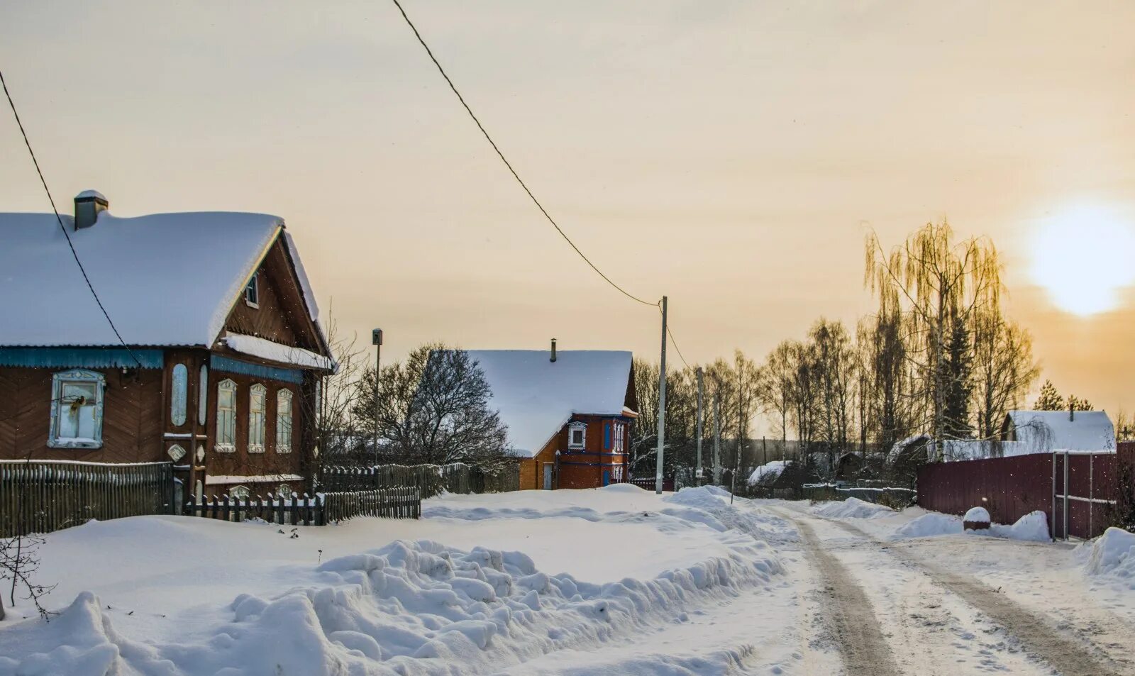 Собаки в деревне зимой. Собаки в деревне зимой. Кобели деревня. Деревенские собаки. Кобели деревня.