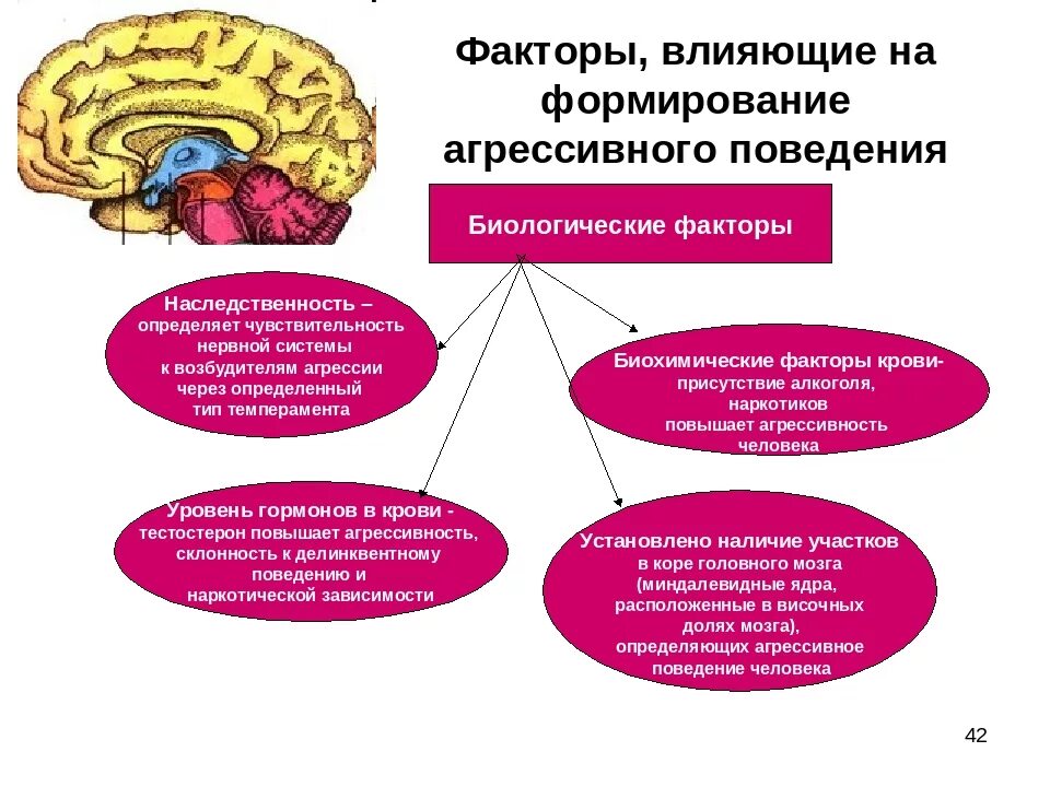 Факторы, влияющие на подростковую агрессию. Психологические факторы агрессии. Социально психологические факторы влияющие на агрессию. Факторы, влияющие на формирование агрессивного поведения.