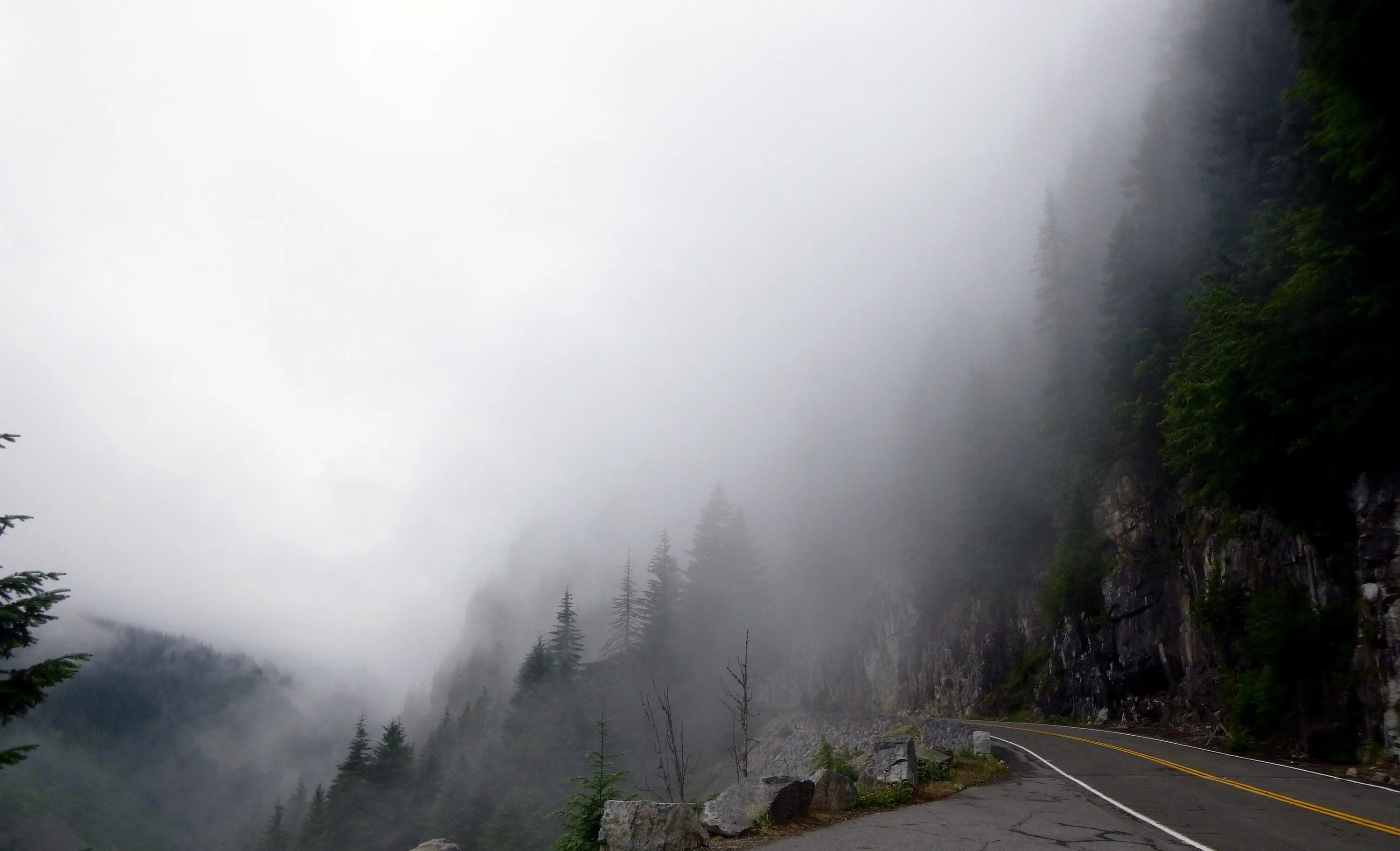 Воздухе вдали от. Лес туман горы Швейцария. Туманный пейзаж. Дорога в гору. Горы в тумане.