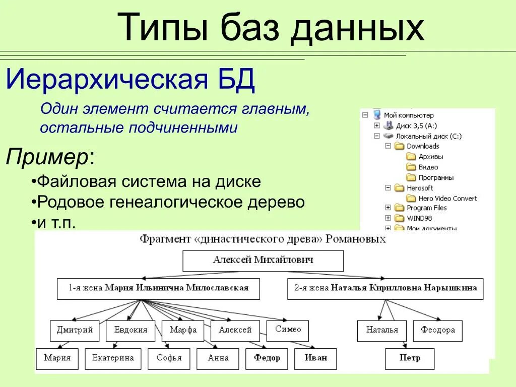 Описать структуру данных. Примеры иерархических баз данных. Иерархический Тип база данных. База данных типы баз данных. Схему иерархической структуры БД.