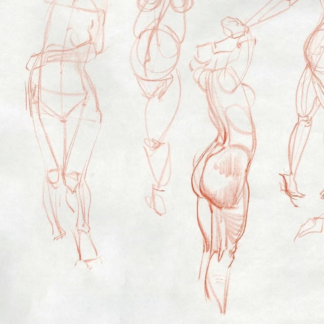 Референсы женской фигуры анатомия. Тело для рисования. Набросок женского тела. Скетчи тела. Референс фигура