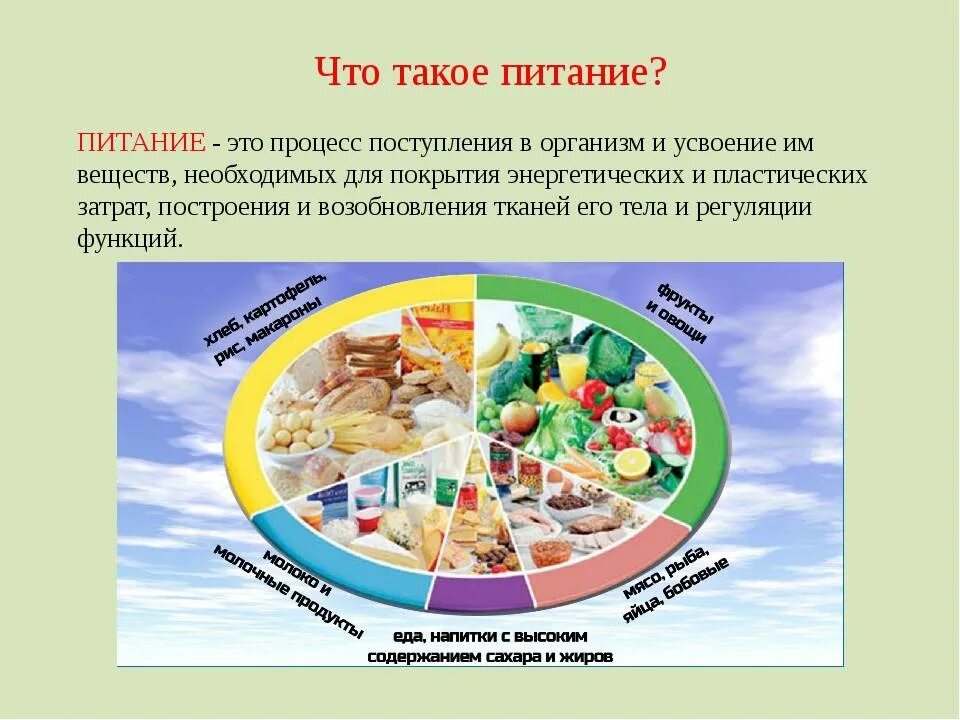Что такое питание биология 5 класс. Понятие о питании. питание это кратко. здоровое питание это определение. правильное питание это определение.