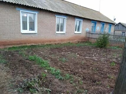 Погода в орловку татарский