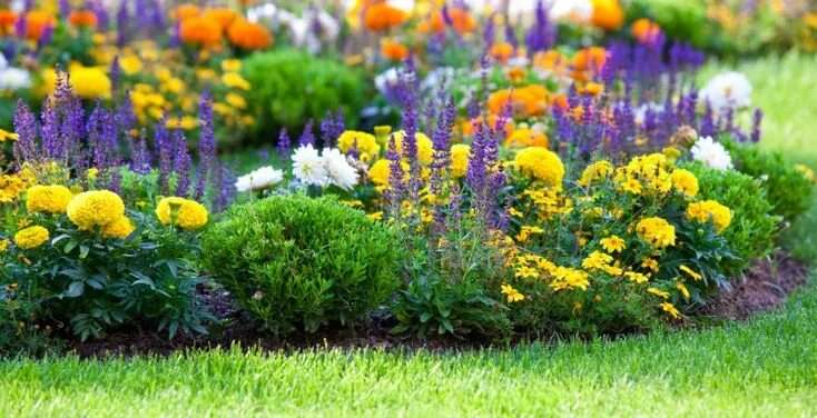 47 Backyard Ideas Landscaping Yards Flower Beds Small flower gardens, Landscapin