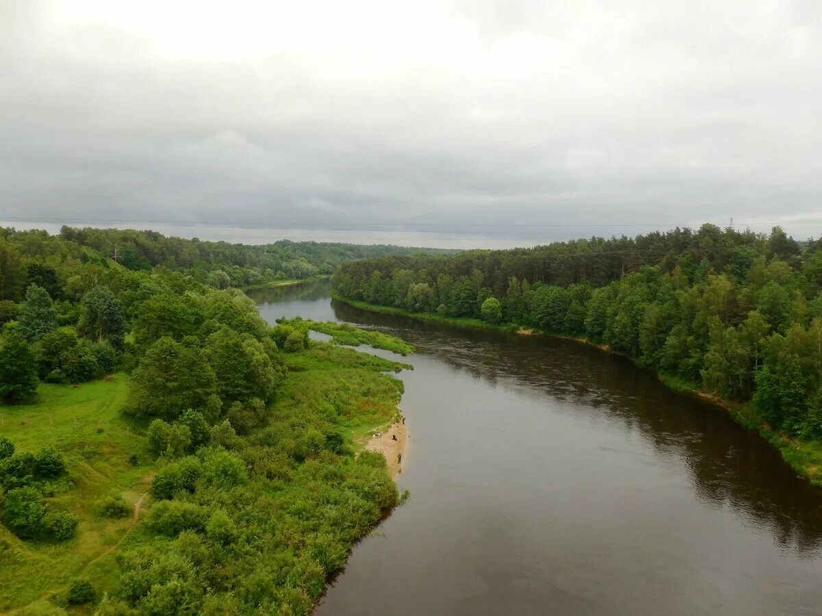 Река в гродно. Река Неман Беларусь. Устье реки Неман Калининградская область. Река Нямунас. Река Неман в Калининградской области.