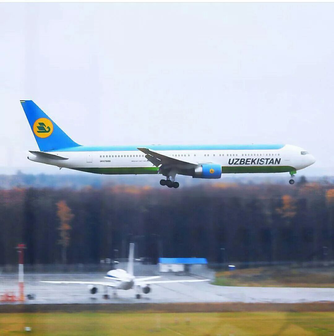 Аэропорт Домодедово Uzbekistan Airways. Самолет Узбекистан хаво йуллари. Аэропорт Домодедово Узбекистон хаво йуллари. Самолёт Uzbekistan Airways а330. Авиабилеты хаво йуллари москва ургенч