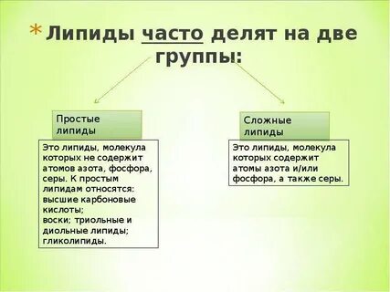 Липиды биология презентация