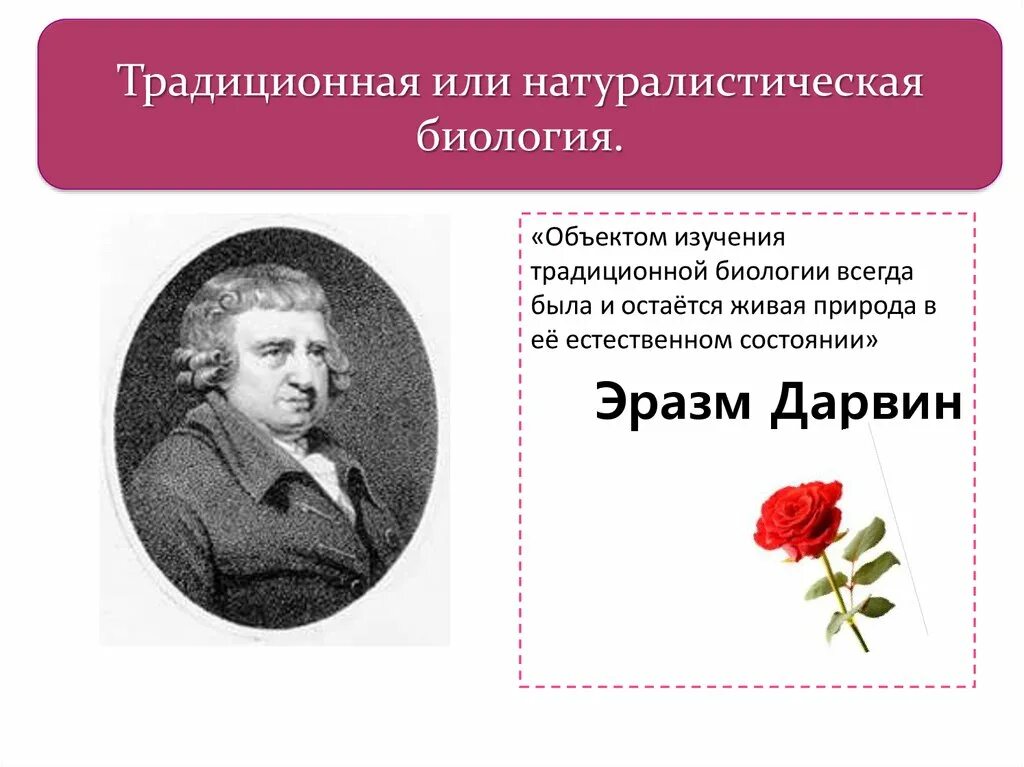 Что изучает классическая биология. Традиционная или натуралистская биология. эразм дарвин. эразм дарвин ботанический сад. культурология натуралистическая ( биологическая ).