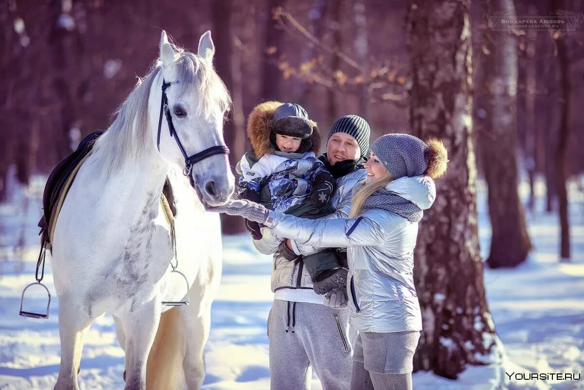 Лошади гуляют. Фотосессия с лошадью зимой. Конные прогулки зимой. Зимнее катание на лошадях. Прогулка на лошадях зимой.