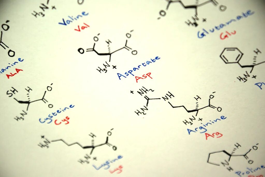 Аминокислоты. Молекула аминокислоты. Аминокислоты рисунок. Аминокислоты фон.
