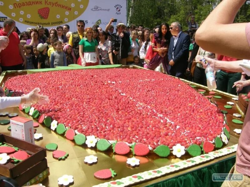 Фестиваль клубники. Фестиваль клубники. Торговля клубникой. Фестиваль клубники афиша. Самый большой торт клубника.