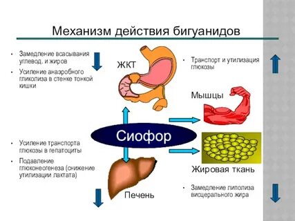 Таблетки которые не дают всасываться углеводам