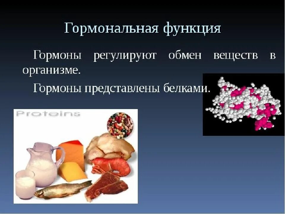 Роль белка в живом организме. Функции белков гормонов. Гормональнач функия белков. Гормональная функция белка. Белки гормоны функции.