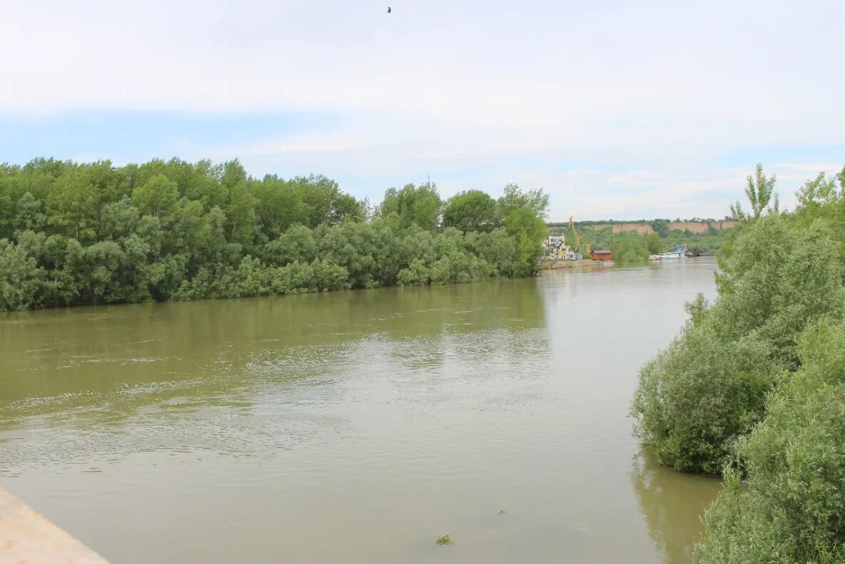 Уровень воды в реке алей. Затон Алтайский край. Затон Барнаул речка. Алтайский край Барнаул Затон. Бобровский Затон Барнаул.