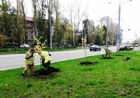Сайт индустриальному району перми