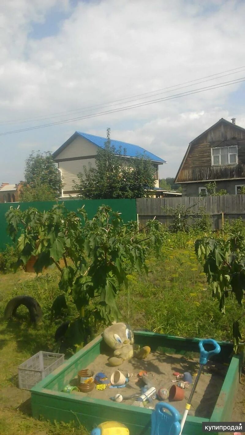 Дача на рыбачьем. Снт пион. Снт новосибирск. Дачный участок в новосибирске. Дачный участок без дома.