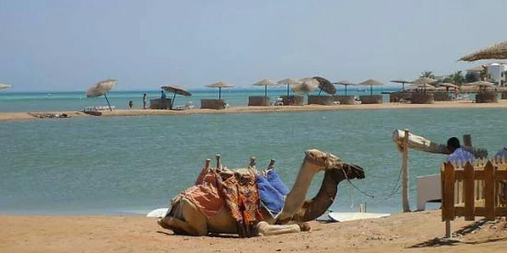 Каир море. Красное море Египет Каир. Египет Каир море. Красное море Каир пляж. Египет Каир пляж.