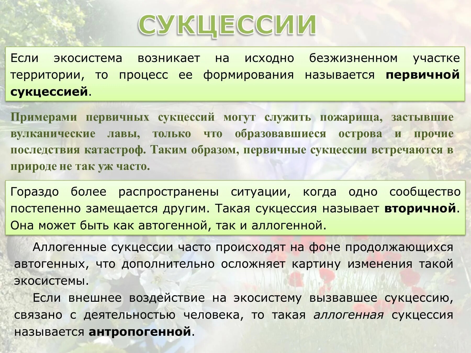 Сукцессия. Первичные автогенные сукцессии.. Аллогенная и аутогенная сукцессия. Сукцессия примеры. Последствия изменений в экосистемах