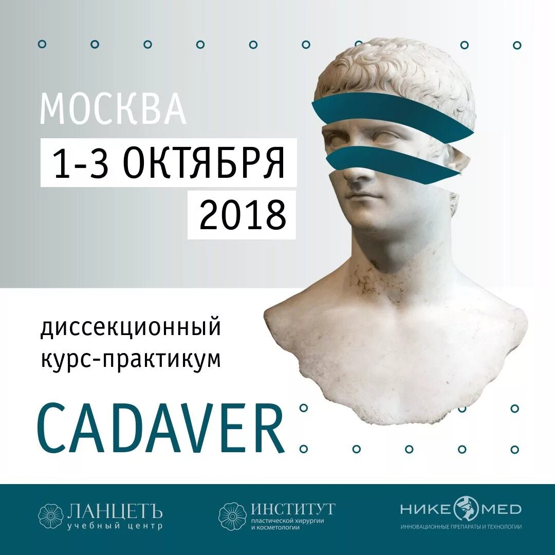 Кадавр курс. Кадавр курс. Кадавр курс. Кадавр курс. Анатомическая лаборатория.