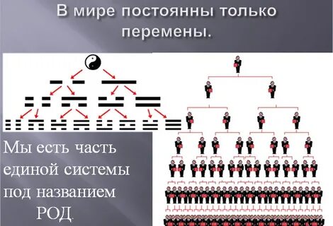 Роли в системе рода
