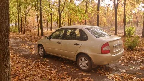 Калина 1 2008