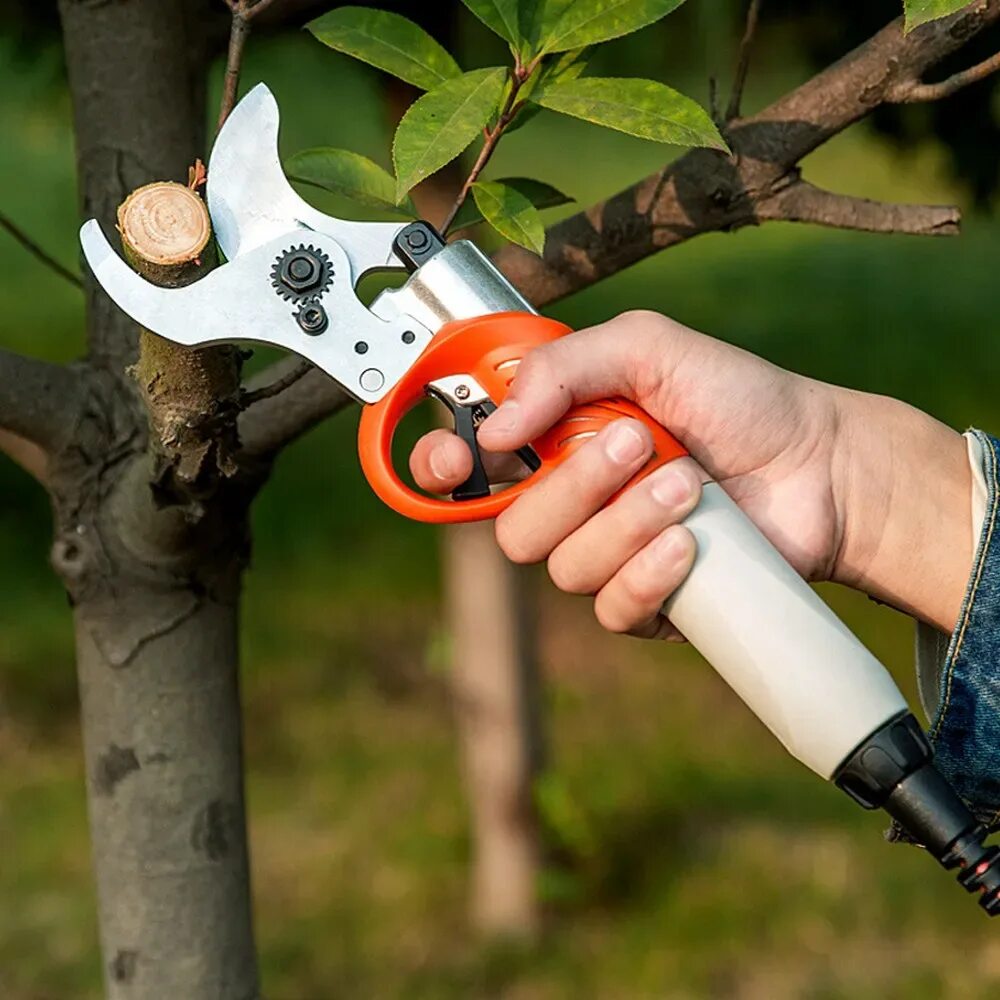 Сучкорез электро. BCL 22 аккумуляторные садовый секатор. Секатор садовый pruning Shears. Электро секатор садовый электрик прунинг Шеарс 3608. Ножницы садовые pruning Shear.