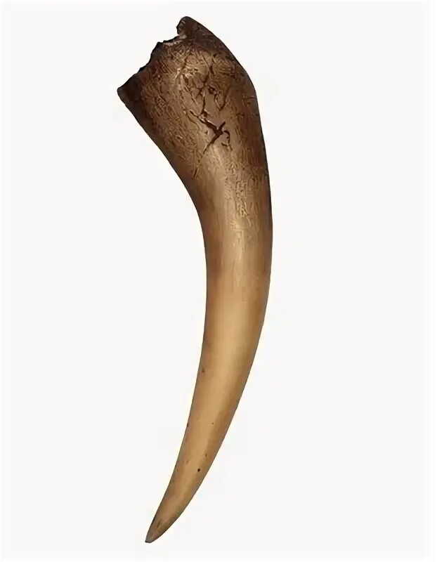 Крестраж дневник тома реддла. Basilisk venom гарри поттер. Амулет из клыков. Крестраж дневник тома реддла. Клык василиска.