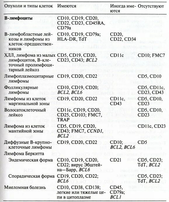 Cd19 лимфома. CD 20 повышен. Cd19 норма. Cd19 лимфоциты