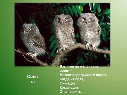 Так сидели они рядышком оба уже
