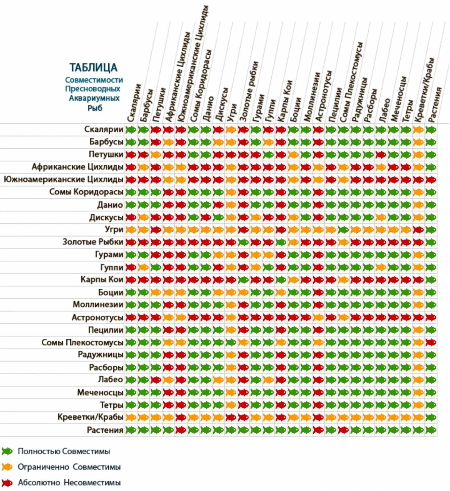 С какими рыбками можно держать. Таблица совместимости рыбок в аквариуме. Совместимость рыб в аквариуме таблица. Совместимость рыбок в аквариуме 100 литров таблица. Таблица совместимости аквариумных рыб золотые рыбки с.
