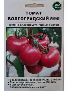 Томат волгоградский характеристика и отзывы