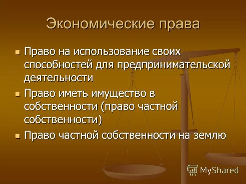 Конституционная защита экономических прав