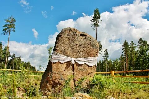 Дзен красник