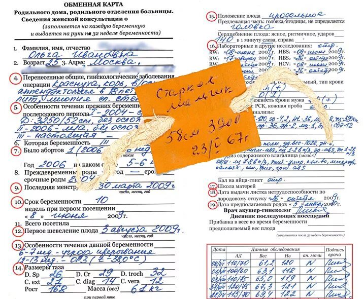 как рождается карта