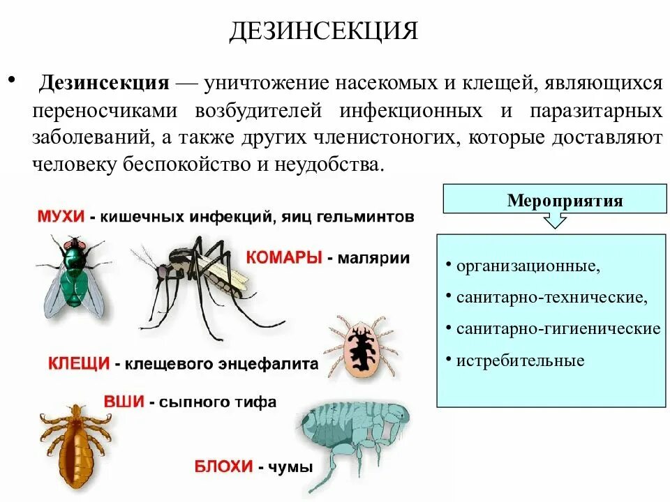 Какие инфекции передаются через укусы кровососущих насекомых. Насекомые переносчики опасных заболеваний человека. Дезинсекция от насекомых памятка. Переносчики болезней клещи, мухи, комары, Шмель. Переносчики заболеваний дезинсекции.