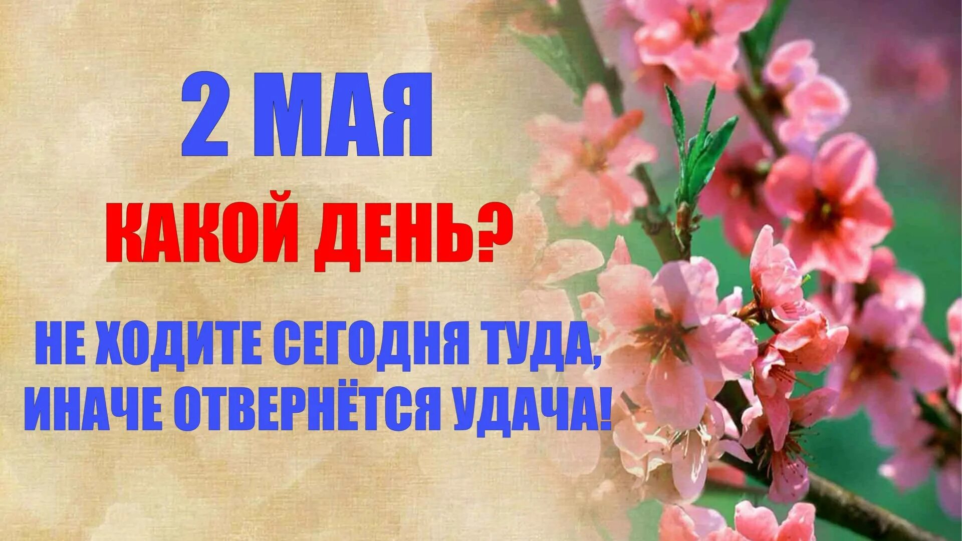 2 Мая праздник открытки. Доброе 2 мая.