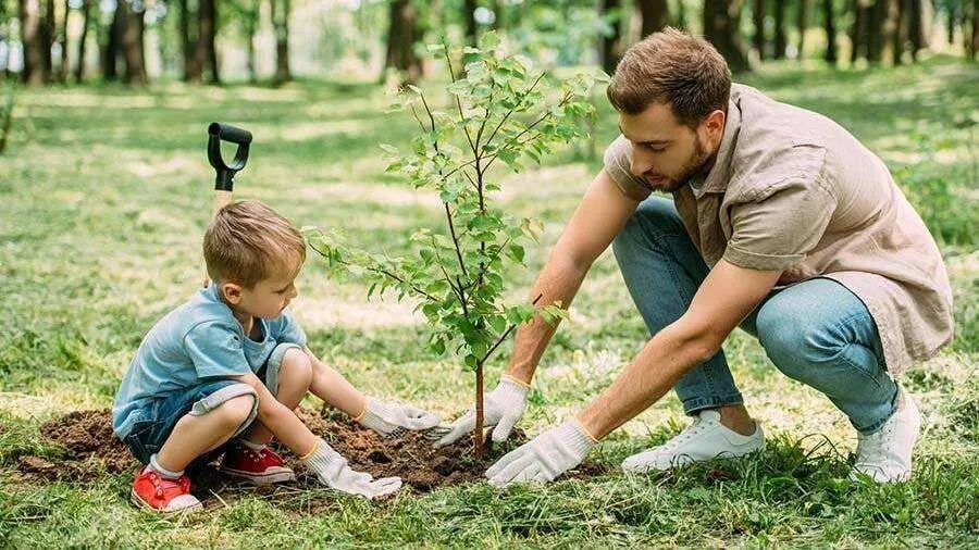Помогаю обыкновенным