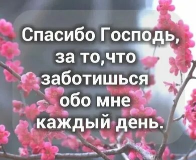 Спасибо господу за новый день