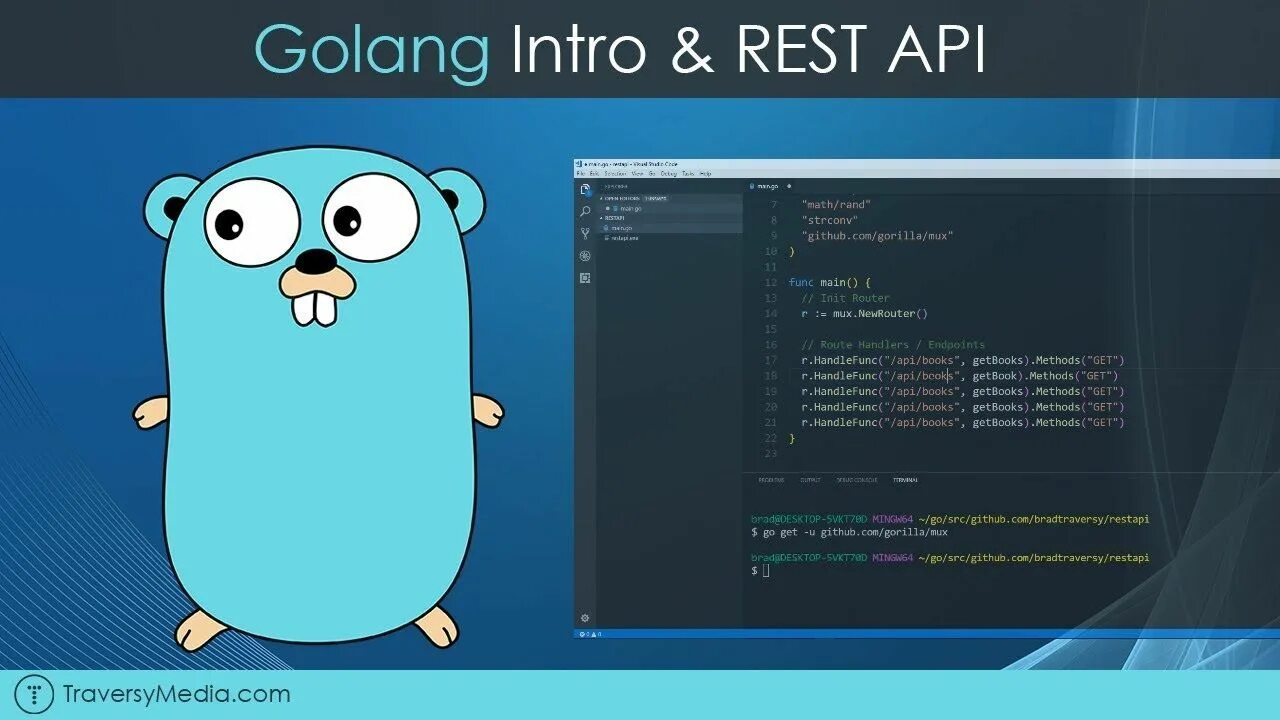 Golang value. Golang. Go язык программирования. Golang язык программирования. Гофер golang.