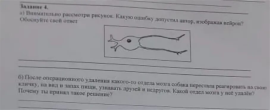 Внимательно рассмотри рисунок. Внимательно рассмотри рисунок. Что на нем изображено?. Рассмотрим рисунок 87 перечисли черты сходства у изображенных. Внимательно рассмотри рисунок на котором указано направление.