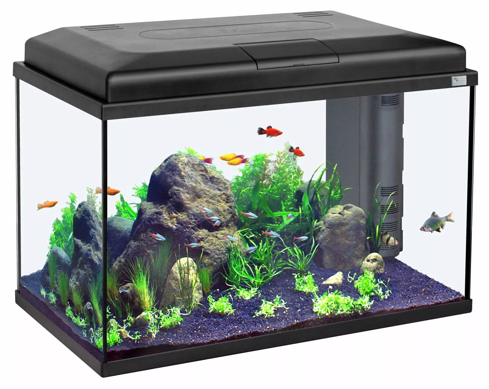 Аквариум картинка. Nano Cubic аквариум 20л белый (025) 23х30х38см led-светильник 6w фильтр Mini BIOBOX 1. Aquatlantis Nano Vision-l, 13 л. BIOBOX аквариум.
