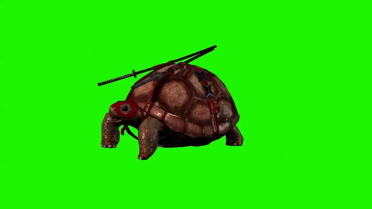 Turtle screen. Черепаха green screen. turtle green screen. turtle screen это. скрин nfr черепаха.