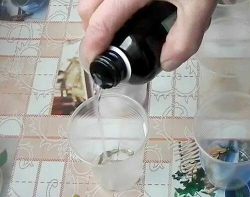 Замачивание томатов в перекиси водорода. Перекись водорода и семена. обработка семян перекисью перед посадкой. обработка семян перекисью водорода перед посевом. замачиваем семена в перекиси водорода.