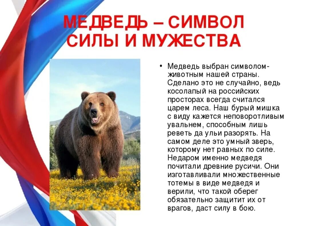 Неофициальный символ россии медведь. Медведь символ России. Неофициальные символы России медведь. Бурый медведь символ России. Животные символы России.