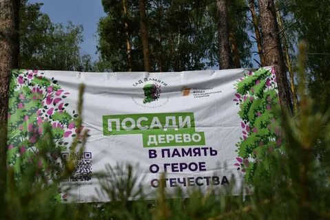 Сайт опорный край свердловская обл
