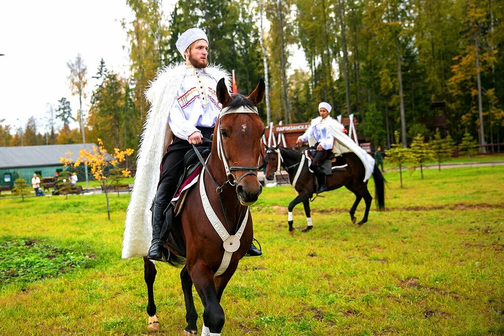 конный манеж санаторий чувашия. московский ипподром конюшня. конно-спортивный комплекс парк патриот. конные комплексы москвы. кск пегас красная пахра.