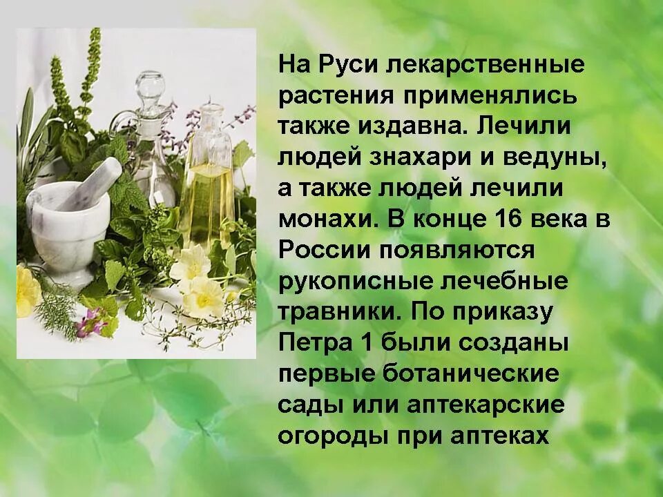 Какие растения можно использовать. Лекарственные растения. лекарственные растения презентация. лекарственные растения слайд. полезные лекарственные растения для человека.