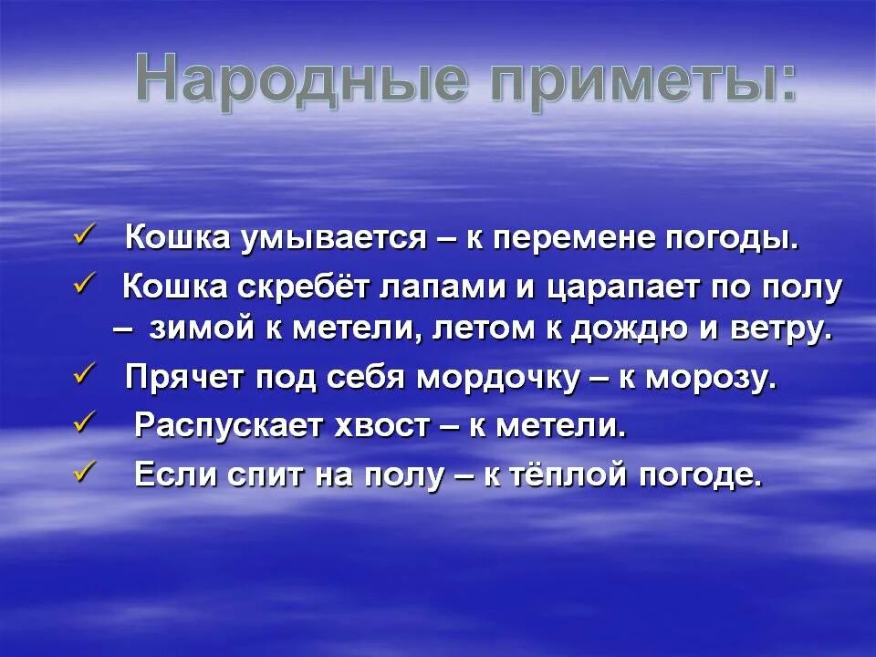 Народные приметы. Приметы о природе. Народные приметы о природе. Народные приметы о погодных явлениях. 5 примет о погоде